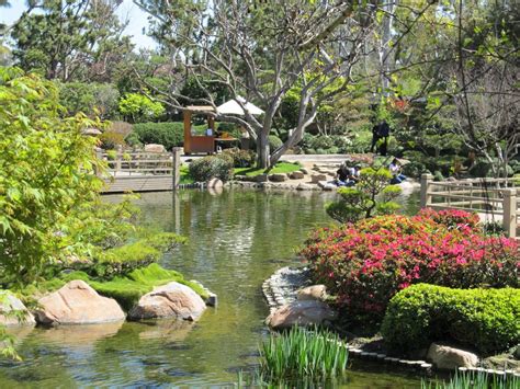Check out our long beach ca selection for the very best in unique or custom, handmade pieces from our prints shops. Earl Burns Miller Japanese Garden - Long Beach, CA ...