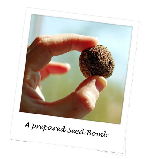 How To Make Seed Bombs Suttons Gardening Grow How