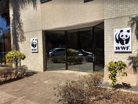 World Wildlife Fund Office Photos