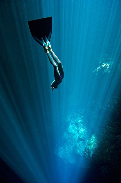freediving the magic of exploring the ocean on a single breath