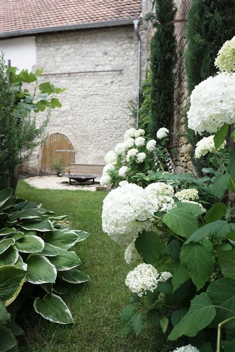 We did not find results for: Meine Homestory für Roombeez | Garten anlegen, Garten ...