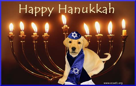 Ecad Service Dogs Happy Hanukkah