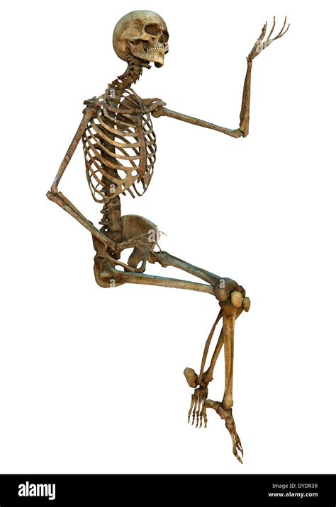 3d Digital Render Of An Old Human Sitting Skeleton Isolated On White