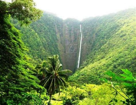 Beautiful Hawaiian Waterfalls In The Mountains Hawaiian Waterfall