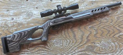 Tested Ruger Target Lite 1022 Carbine An Official Journal Of The Nra