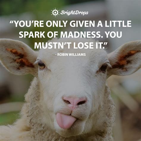 Funny Quotes About Life Lessons