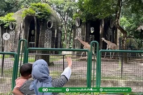 Wisata Kebun Binatang Ragunan Jakarta Selatan Murah Dan Bisa