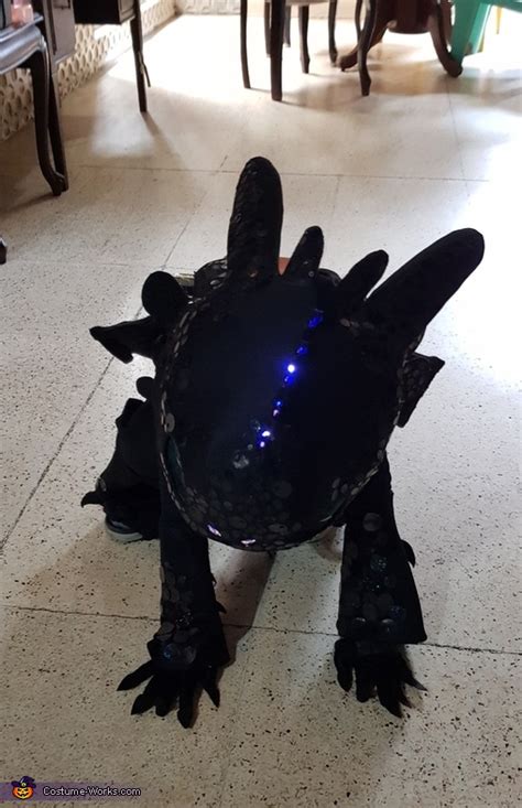 Toothless The Dragon Costume