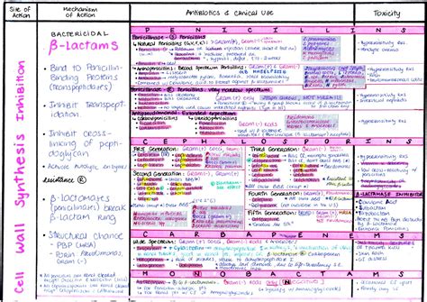 My Notes For Usmle — Antibiotics Complete Chart Download Ab1