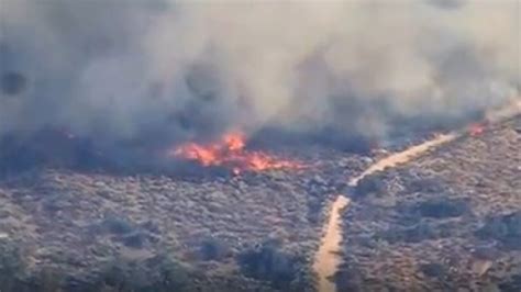 El Incendio Forestal Bobcat Sigue Azotando California Y Crece A Los