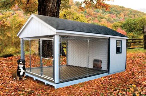 25 Best Outdoor Dog Kennel Ideas The Paws