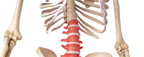 An Overview Of Isthmic Spondylolisthesis And Treatment Spine Center