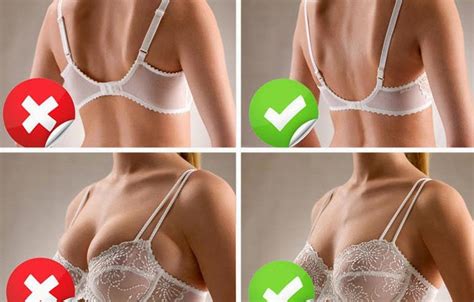 6 tips for choosing properly fitting bras slim wallet company