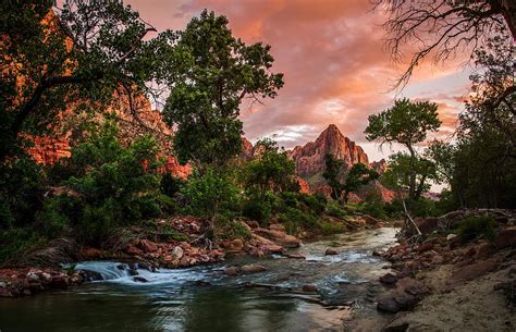 The Watchman Sunset Zion National Park Photograph By Scott Mcguire
