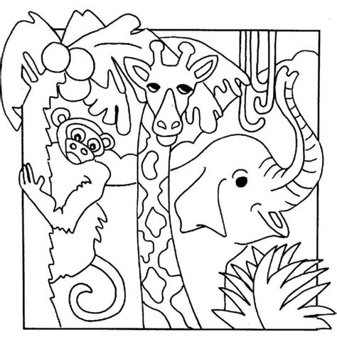 Tropical forests are found near the earth's equator. Jungle Animals Drawing at GetDrawings | Free download
