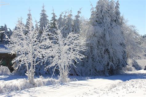 Snow Scene France Auvergne Free Photo On Pixabay Pixabay