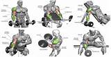Pictures of Muscle Exercises Reps