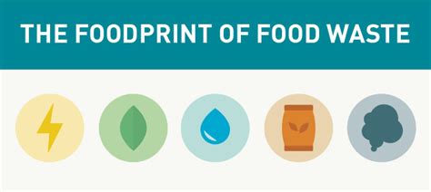 New Study Measures The Foodprint Of Food Waste