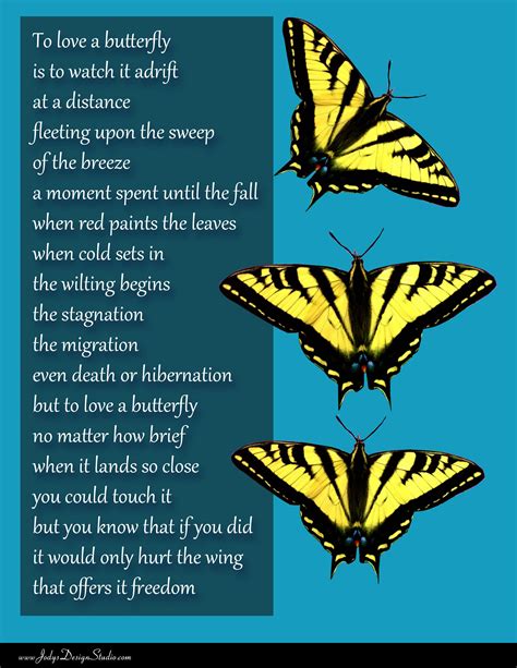 Poem To Love A Butterfly Butterfly Red Paint In This Moment
