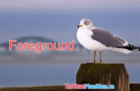 Differences Between Background And Foreground