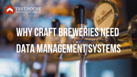 Why Craft Breweries Need Data Management Systems Treehouse Tech Group