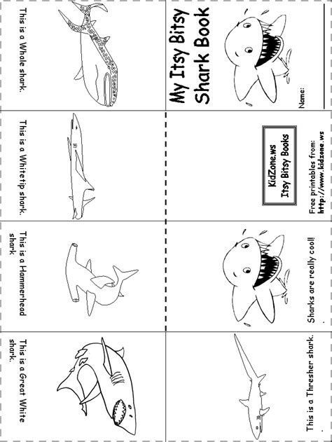 shark activity sheet itsy bitsy shark book