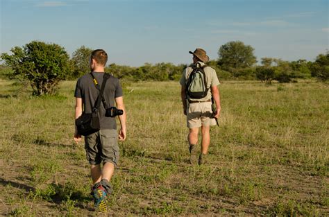 how to travel to kruger national park on a budget african overland tours