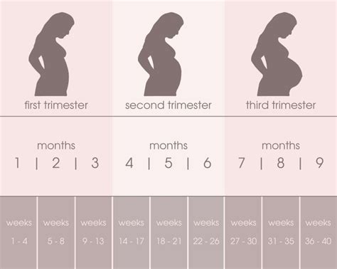 75 Best Pregnancy Images On Pinterest Pregnancy 30 Weeks Pregnant