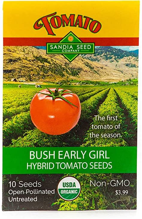 Early Girl Bush Hybrid Tomato 10 Seeds The Earliest