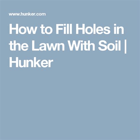 How To Fill Holes In The Lawn With Soil Hunker Lawn Soil Holes