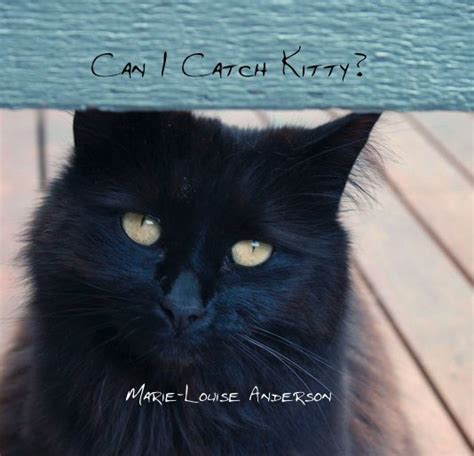 Can I Catch Kitty By Marie Louise Anderson Blurb Books