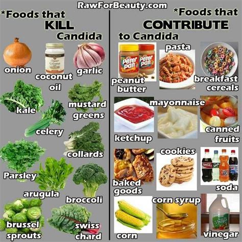 Helpful Veggies Candida Diet Recipes Candida Diet Food List Candida