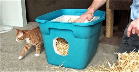 How To Build A Feral Cat Shelter Cole And Marmalade