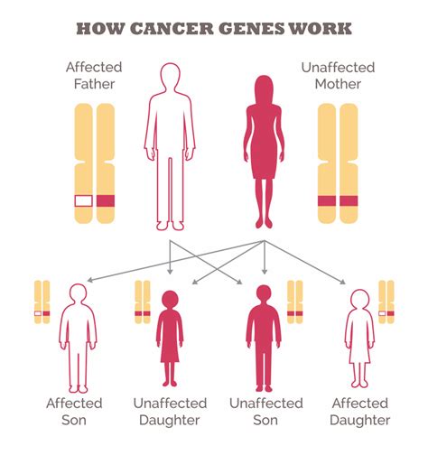 Breaking Down The Genetics Of Breast Cancer Health