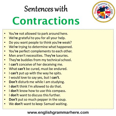 Sentences With Contractions Contractions In A Sentence In English