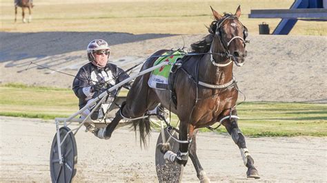 Harness Racing Young Guns Set For Red Hot Breeders Crown Heat Herald Sun