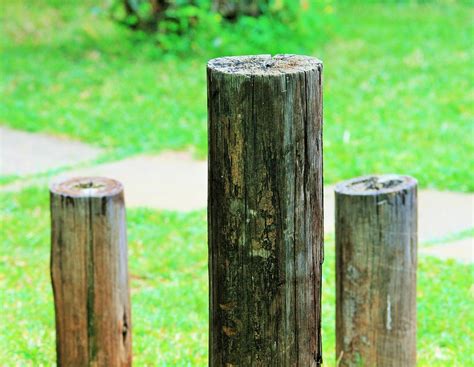 Free Photo Posts Poles Short Wooden Dry Free Image On Pixabay