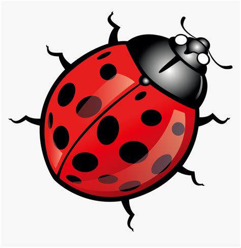 Transparent Ladybug Clipart Png Insect Clip Art Free Png Download