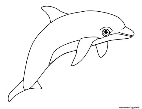 Coloriage Dauphin Animal Aquatique Dessin Animaux De La Mer à Imprimer