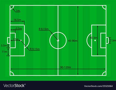 Vector soccer field markings lines with different types of grass, football playground top view. Soccer field or football field plan with dimensions ...