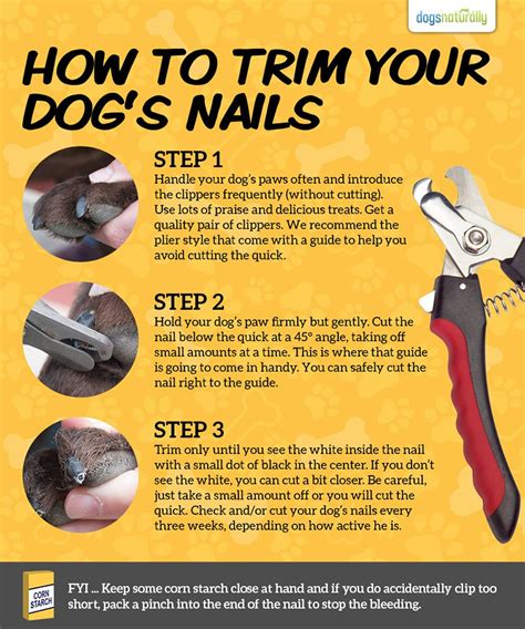 How To Properly Trim Dog Nails Lynch Sentell84