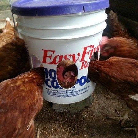 Our daughter prefers to feed the chickens with a scoop every day and i just check once a week and top it off. DIY No Waste Chicken Feeder Bin | Chicken feeder diy, Chicken feeder, Chicken feeders