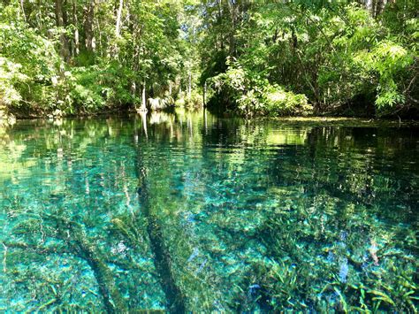 The Ultimate Guide To Clear Kayaking At Florida’s Enchanting Springs