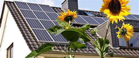 Check spelling or type a new query. How Much Do Solar Panels Cost in the UK? | 2020 | Solar Guide