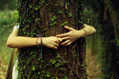 The Tree Hugging Hippies Were Right After All Treehuggers Bracelets