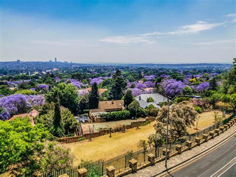 Aerial View Of Johannesburg The Largest Urban Forest During Spring