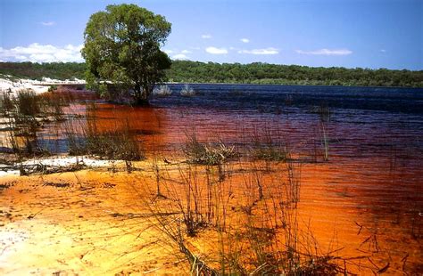 Stroll along this relaxing area's beaches, or simply enjoy its restaurants. Fraser Island | The tea-tree coloured waters of Lake ...