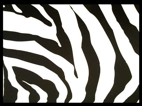 7 Best Images Of Zebra Stripes Template Printable Zebra Stripe Print