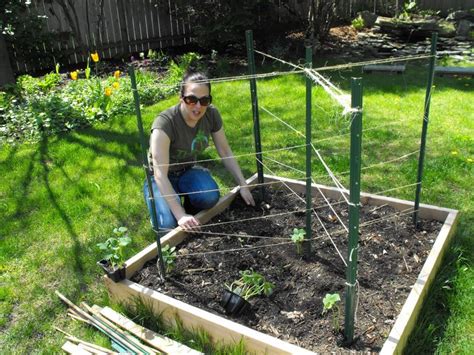 However, these need to be watched daily to make sure they do not promote rotting or disease. raised bed trellis - squash and tomato | Gardening | Pinterest