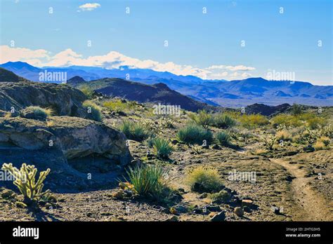 The Monolith Garden Trail In The Mojave Desert Near Kingman Arizona